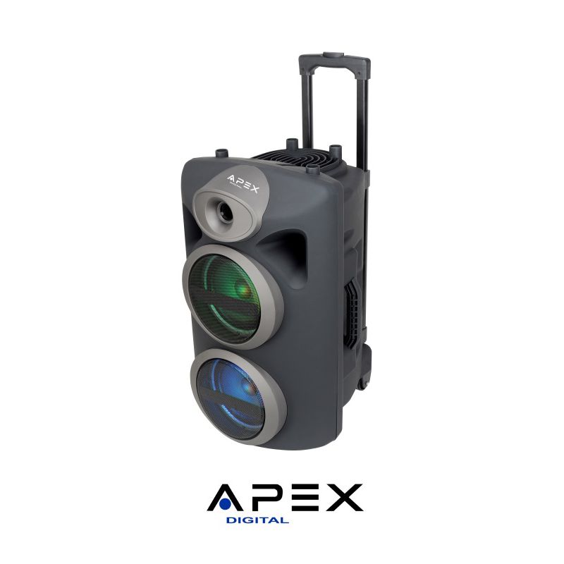 APEX רמקול קריוקי ’’2X6.5 עם מיקרופון אלחוטי דגם AP1430